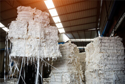 paper n pulp