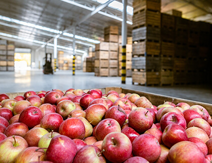 Ethylene Control in Fruits and Vegetables Storage